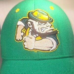 Vintage Notre Dame Fighting Irish Zephyr Z-Fit Flex-Fitted Hat Cap M/L